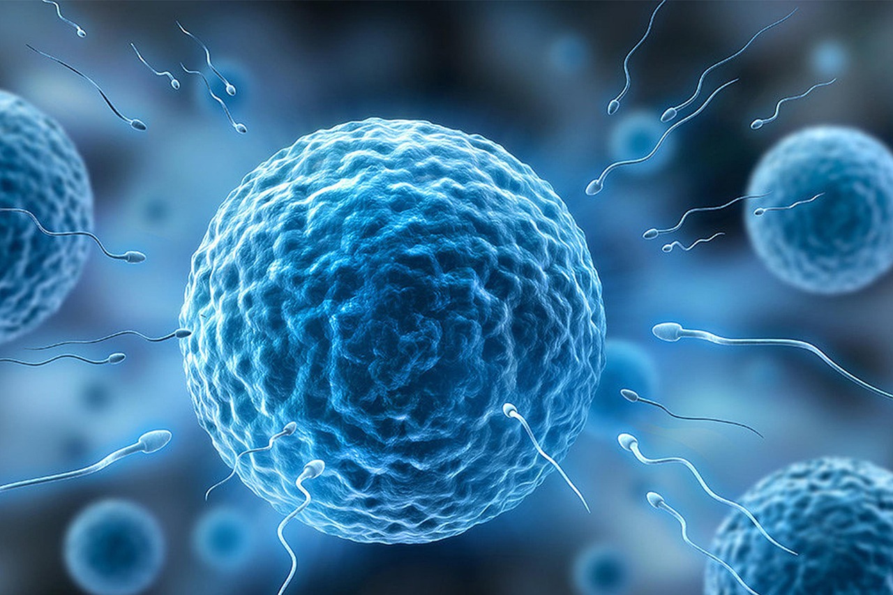 SOP y Síndrome Metabólico: Prevención y Tratamiento