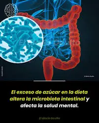 ¿Por qué el azúcar afecta tu microbiota intestinal? La ciencia detrás del desequilibrio invisible